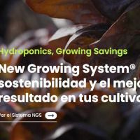 ngsystem